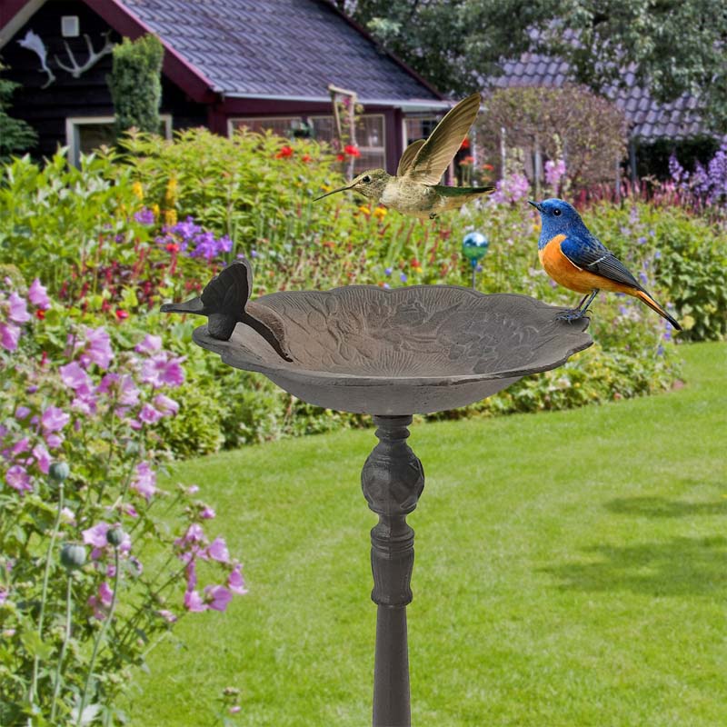 Bird Bath